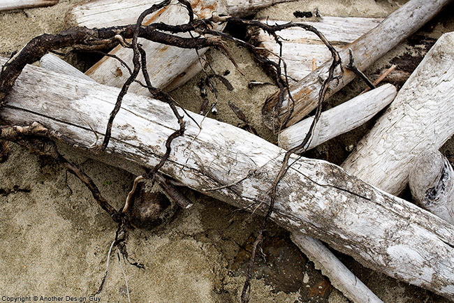 Nature Photography - Driftwood