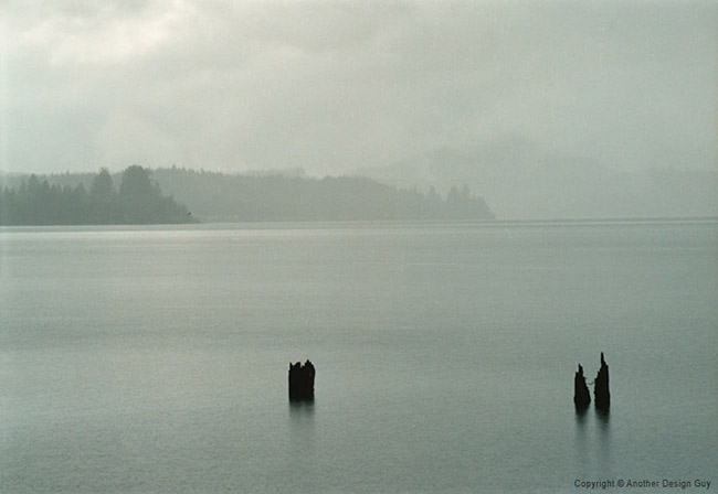 Nature Photography - Fog 1