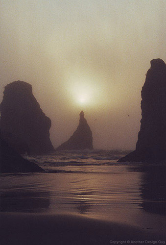 Nature Photography - Sea Fog